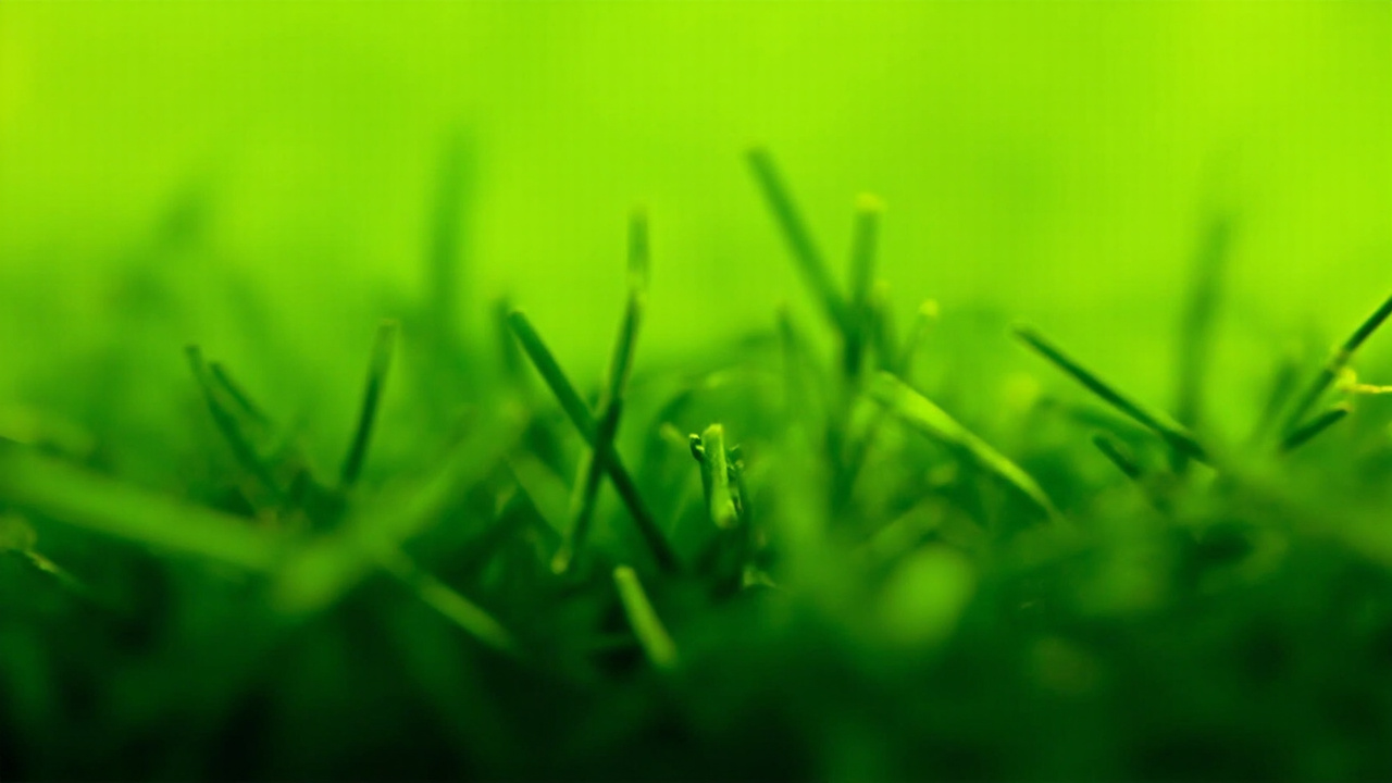 How to Import Artificial Grass from China: Landscape, Sports and Putting Green Turf