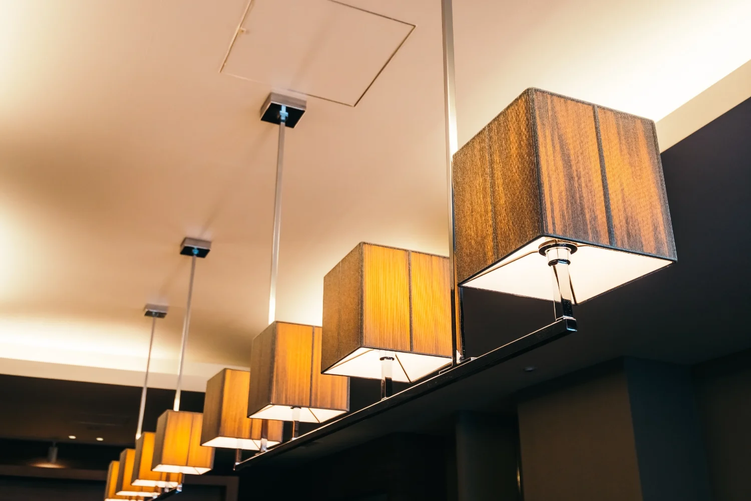 Ceiling Lamp